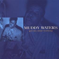 Muddy Waters : Got My Mojo Working